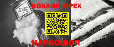 крисы Будённовск
