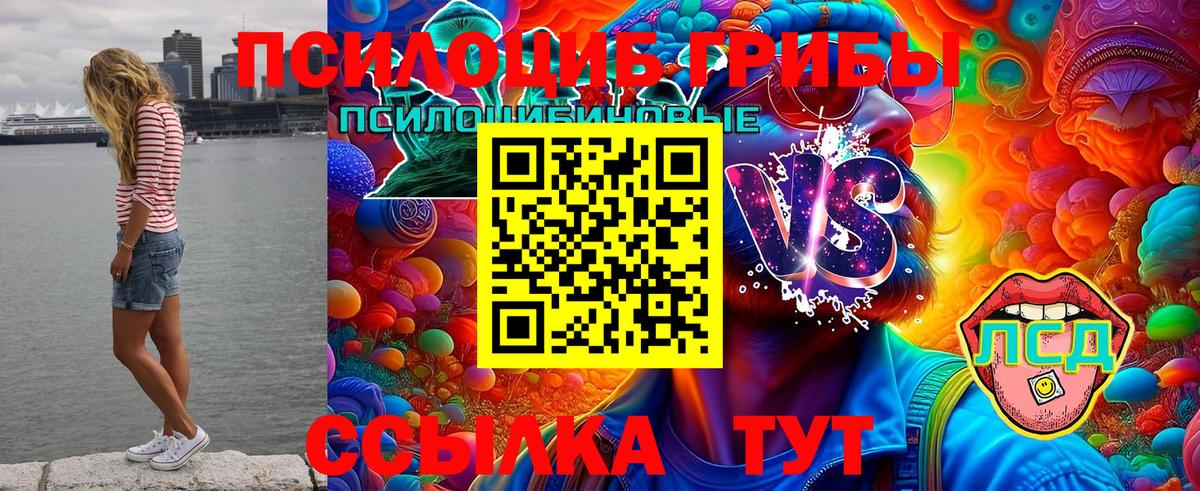 Псилоцибиновые грибы ЛСД Светлоград