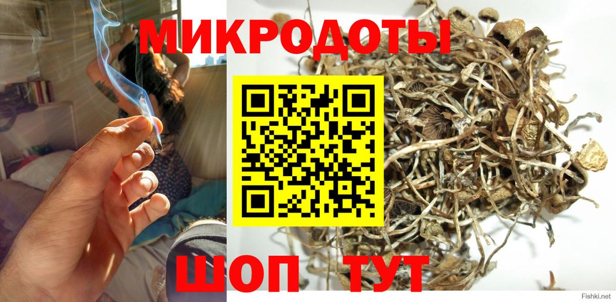 Псилоцибиновые грибы мицелий  Псилоцибиновые грибы MAGIC MUSHROOMS  наркота  Вход с VPN  Светлоград 