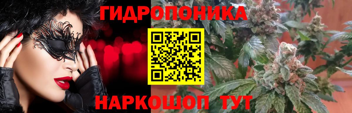 Конопля Ganja Светлоград